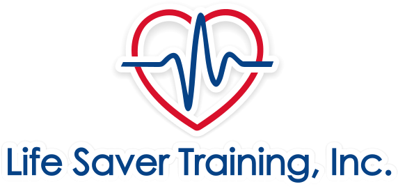 Life Saver Training, Inc - World Learning (600x289), Png Download