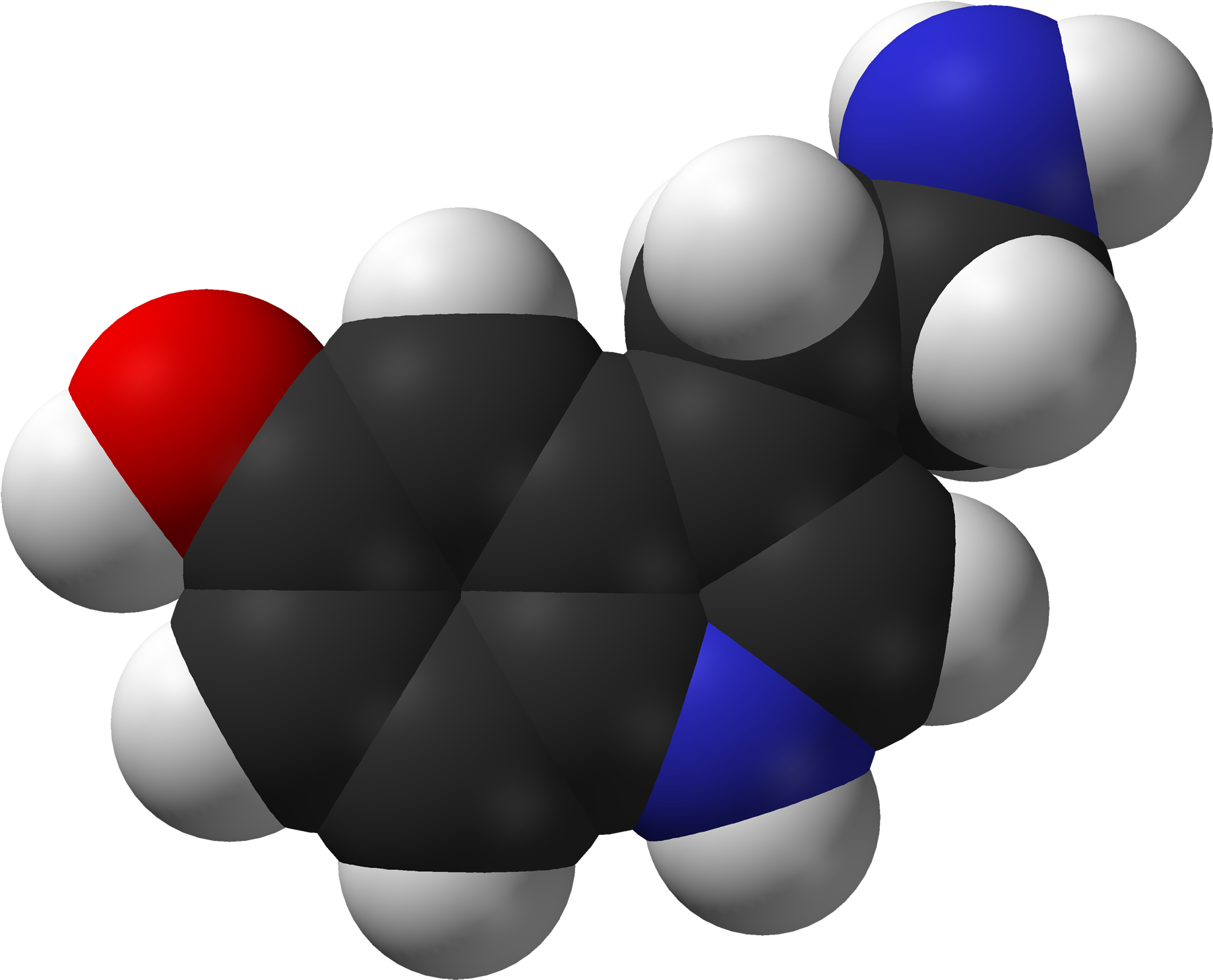 Serotonin Spartan Hf Based On Xtal 3d - Serotonin Space Filling Model (2000x1647), Png Download