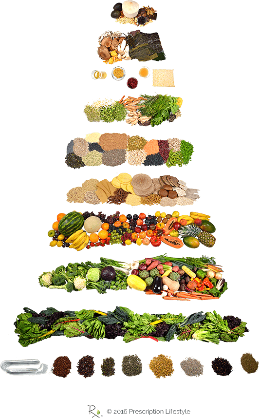Prescription Lifestyle Vector Transparent Stock - Food Pyramid Png (532x858), Png Download
