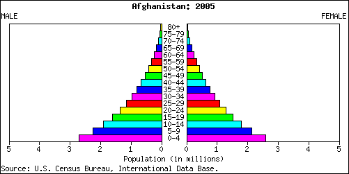 Afghanistan Population Pyramid 2005 - Us Population Pyramid 1990 (501x251), Png Download