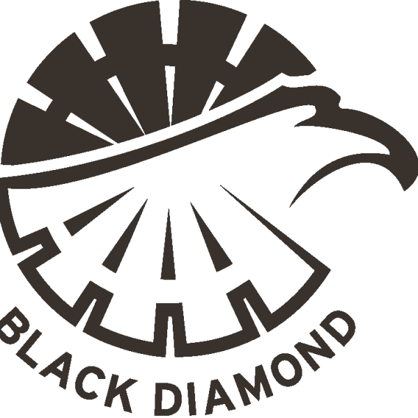 Black Diamond Camps Tabling Session - Camp Eagle Logo (600x600), Png Download