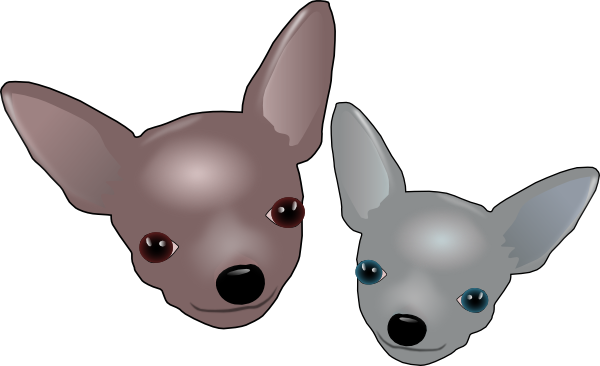 Chihuahua Clipart Chiwawa - Chihuahua Clipart Coloring Pages (600x366), Png Download