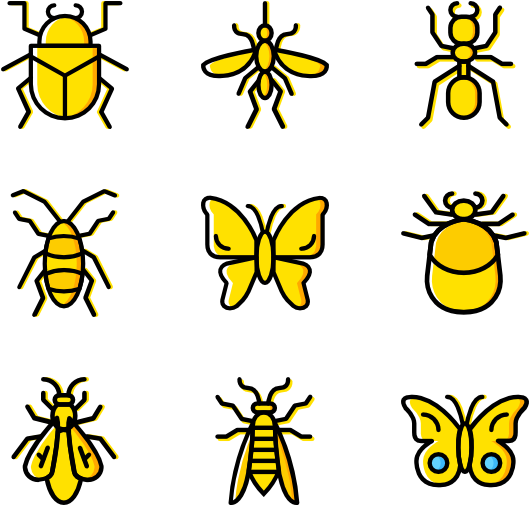Bugs & Insects 50 Icons - Insects Png (600x564), Png Download