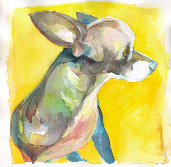 Lola 8 X 8 Watercolour - Watercolor Paint (700x543), Png Download