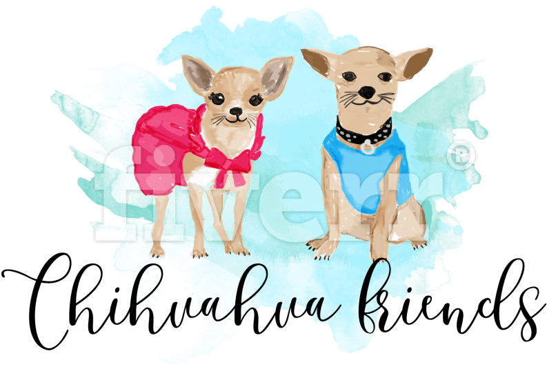 Chihuahua (1200x960), Png Download