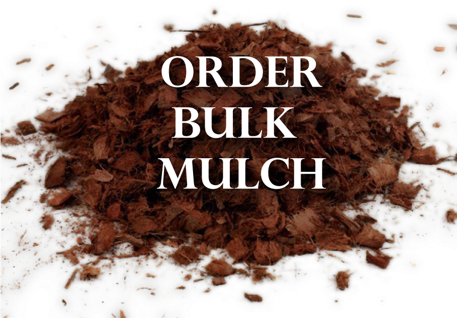 Mulch-01 - Mulch Png (896x896), Png Download