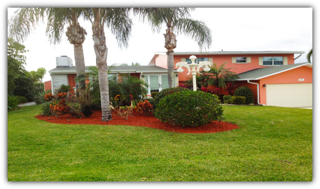 Sebastian Mulch Service - Mulch And Palm Trees (630x372), Png Download