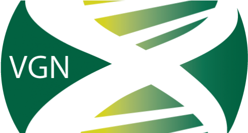 You Are Here - Graphic Design (502x265), Png Download