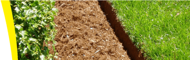 Mulch - Field (736x200), Png Download