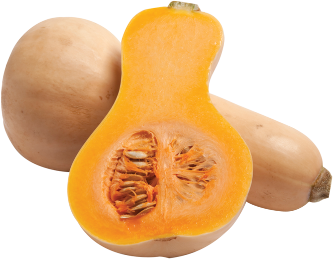 Butternut Squash Png (800x800), Png Download