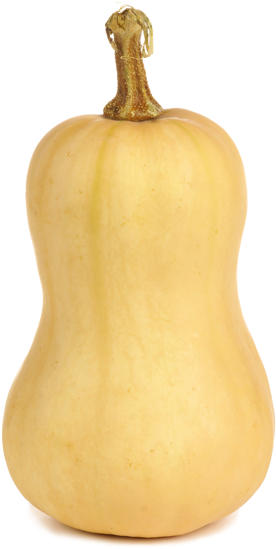 Butternutsquash - Gourd (800x800), Png Download