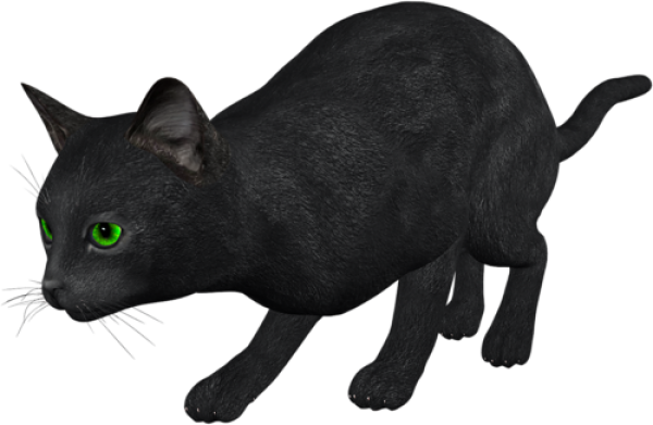 Cat Hunting Png - Кошка Идет На Прозрачном Фоне (600x391), Png Download