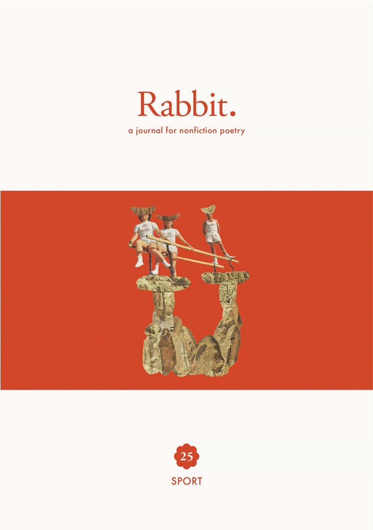 Rabbit Sport Within Australia Rabbit Poetry Png Rabbit - Black Rabbit (1080x1080), Png Download