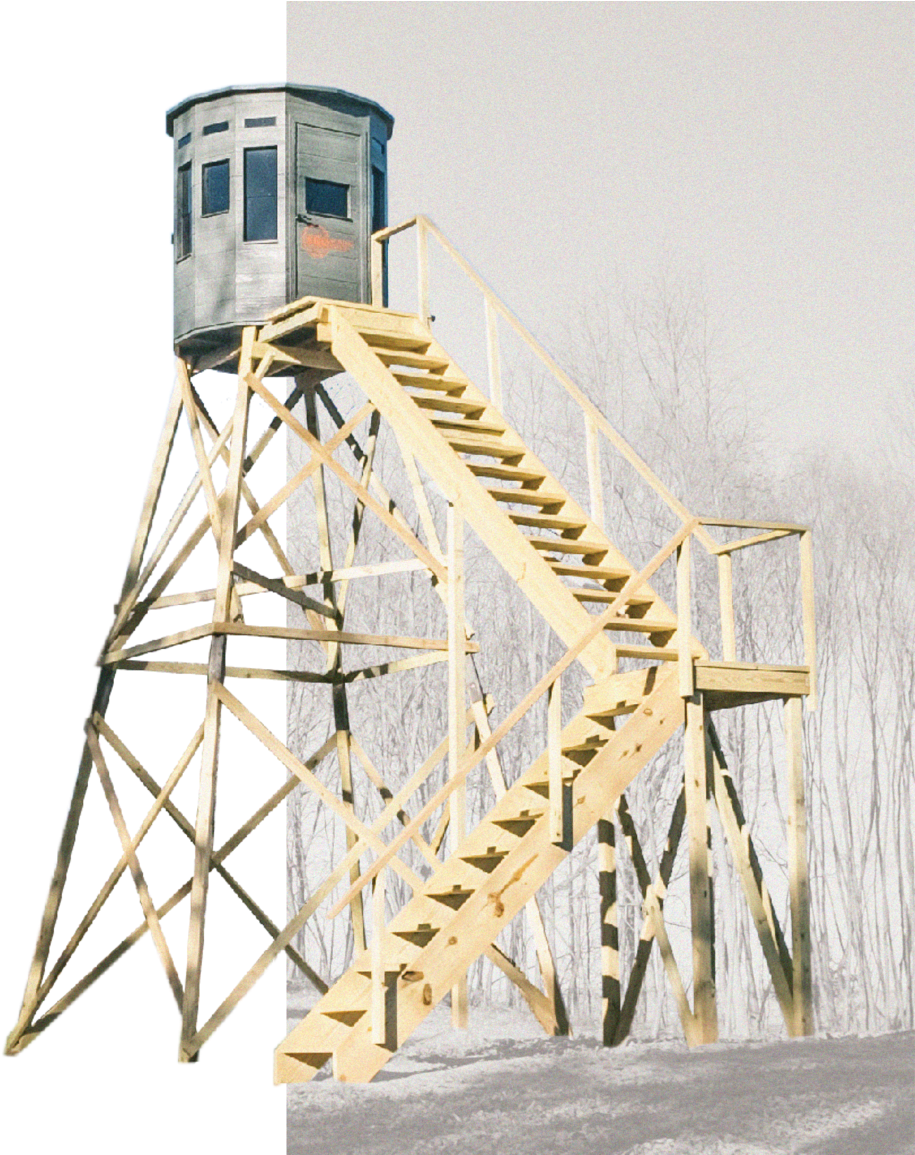 Something For Everyone Background 2 - Portable Network Graphics (1000x1154), Png Download