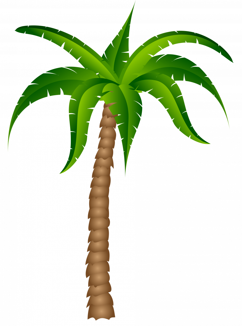 Drawing Street Palm Tree - Palm Tree Transparent Background (817x1102), Png Download