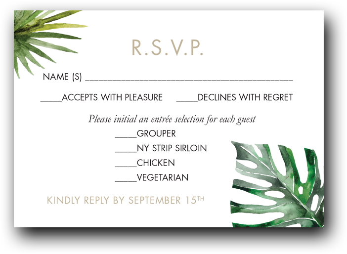 Tropical Palms - Dot & Bo, Inc. (1000x1000), Png Download