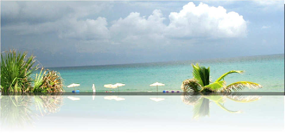 Palm Beach Watercolor Society Celebrated Its 30th Anniversary - Anniversary (960x620), Png Download