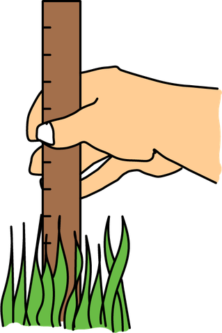 Leave Your Grass Long - Lawn (319x477), Png Download