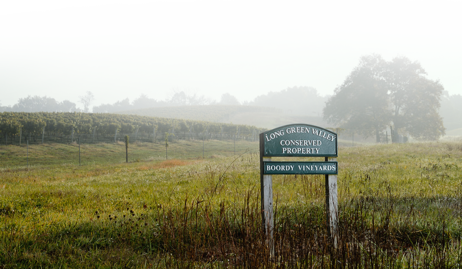 Deford Family, Props - Sweet Grass (1500x873), Png Download