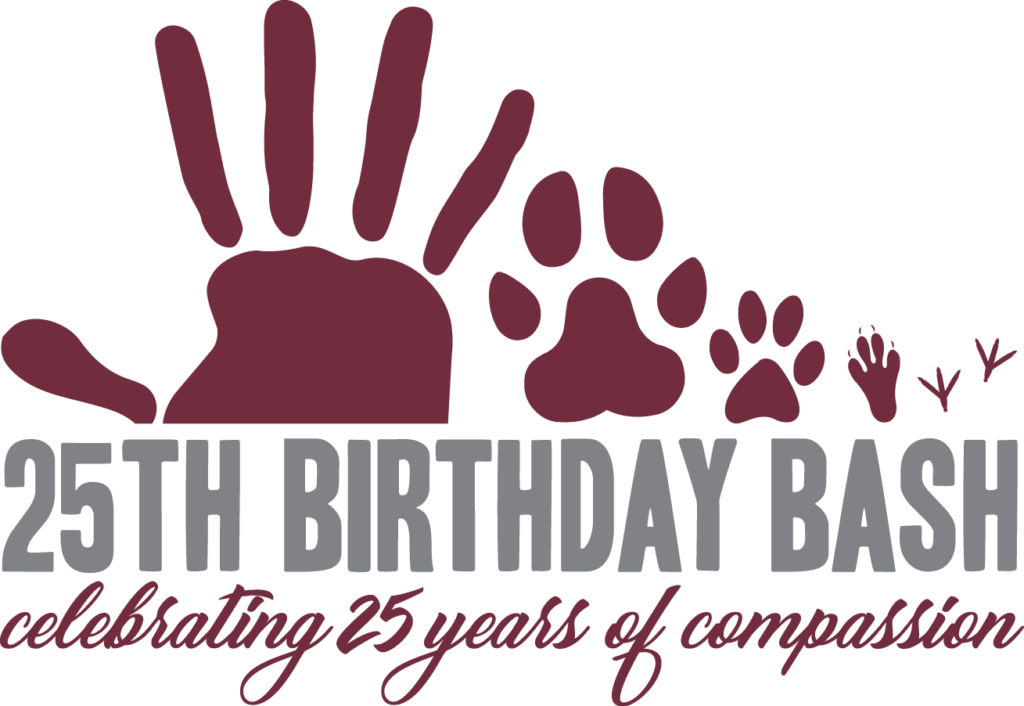 Berkshire Humane Society 25th Birthday Bash - Donald Trump (1024x706), Png Download