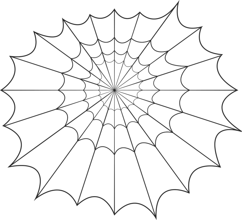 Halloween Spider Web Download Transparent Png Image - Toile D Araignée Noir Png (791x720), Png Download