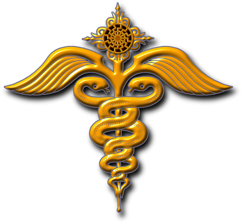 Nazi Party (800x783), Png Download