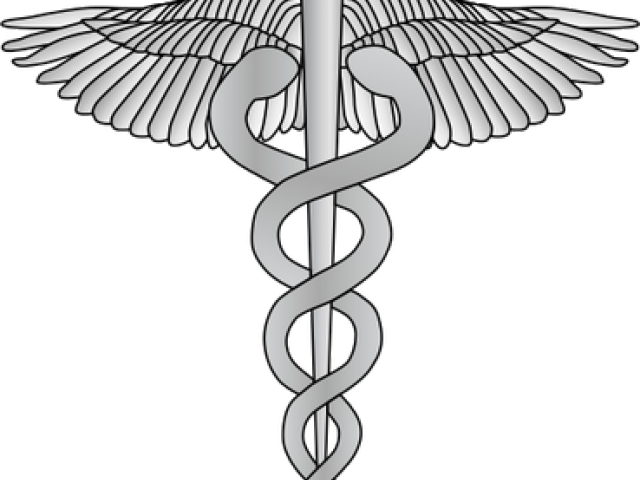 Doctor Symbol Caduceus Png Transparent Images - Caduceus Medical Symbol (640x480), Png Download