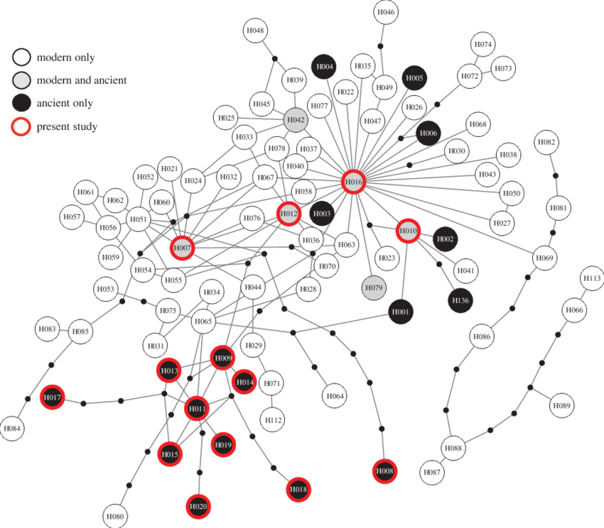Network Constructed Using Tcs - Circle (850x744), Png Download