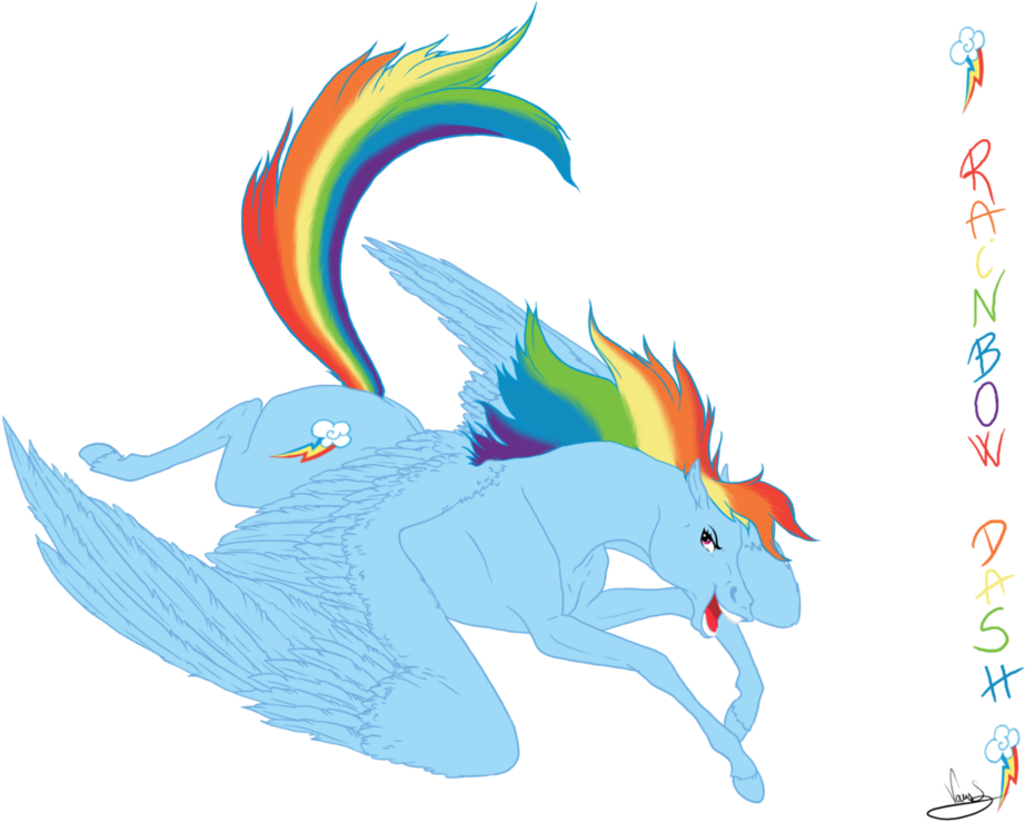 Banner Black And White Stock Rainbow Dash By Vanycat - Realistic Rainbow Dash (1048x762), Png Download