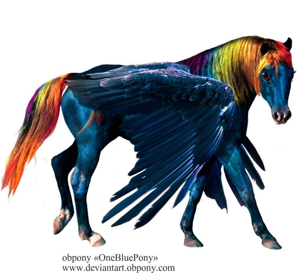 Lulemt, Hoers, Horse, Horsified, Photoshop, Rainbow - Illustration (1024x1024), Png Download