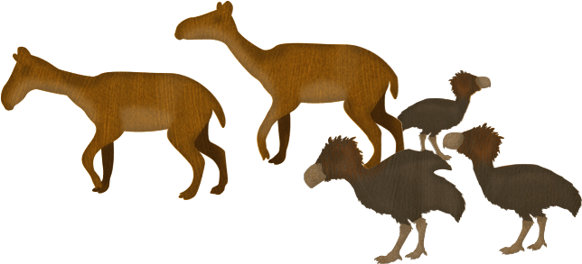 Animals On The Ark - Many Kinds Of Animals (650x308), Png Download