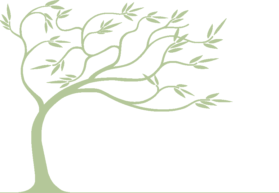 Matt And Wendy Quirky Camping - Willow Tree (900x623), Png Download