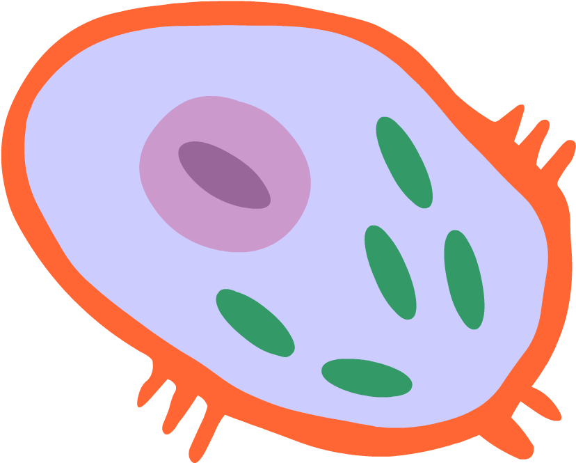 Human Cell Png Clip Art Transparent Stock - Human Cell Cell Icon (880x880), Png Download