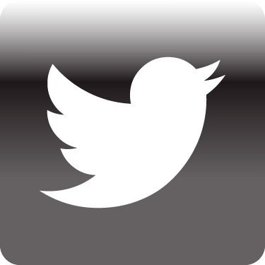 Podcast Twitter Icon - Pink Twitter Icon Transparent (375x375), Png Download