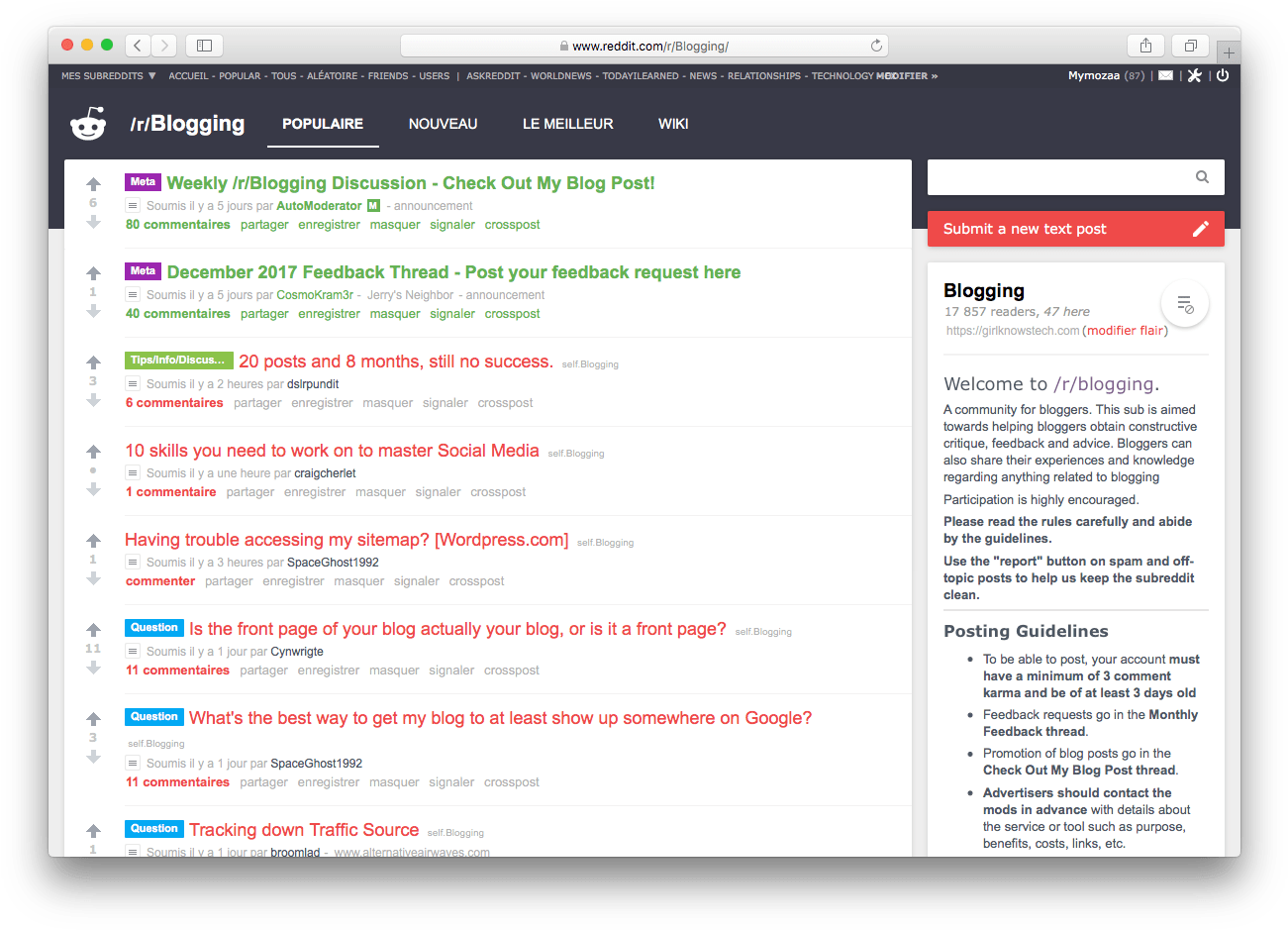 Reddit Subreddit Blogging - Blog (1316x950), Png Download