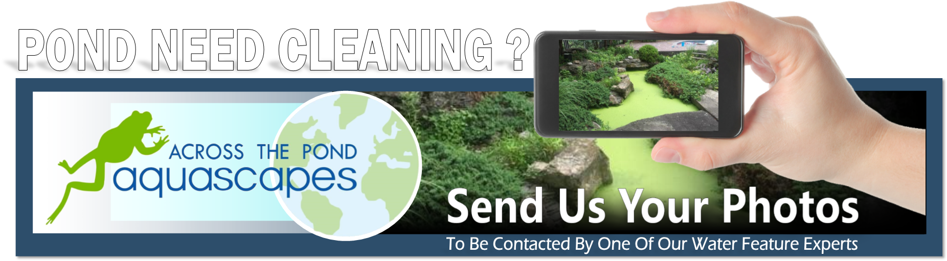 20 Common Pond Myths In Bucks & Montgomery Counties - Frog Jumping Contest (1858x520), Png Download