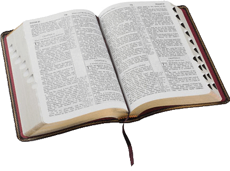 Biblia Evangelica Png - Holy Bible Png (500x353), Png Download