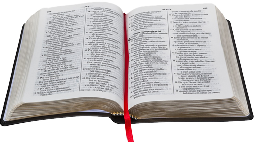 Bíblia Sagrada - Letra Grande (500x280), Png Download