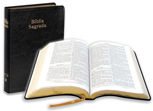 La Seua Repercussió Literària - Biblia De Los Adventistas (600x436), Png Download