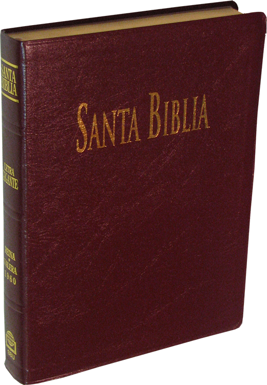 Spanish Sbu Santa Biblia Abs Grande De Letra Gigante, - Bible (520x750), Png Download