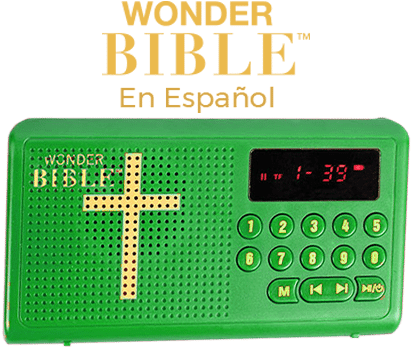 Cada Juego Incluye - Conservatory Of Flowers (433x368), Png Download