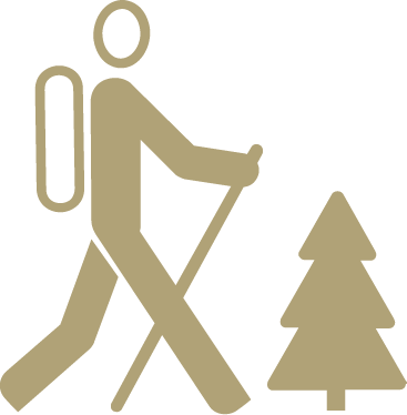 Ico Hiking Camping - Christmas Tree (367x374), Png Download