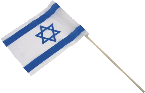 Israel Flag Png - Israel Flag (699x699), Png Download