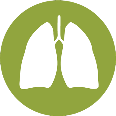 16,000 To 24,000 Americans Die Of Lung Cancer, Even - Lung Clipart (385x385), Png Download
