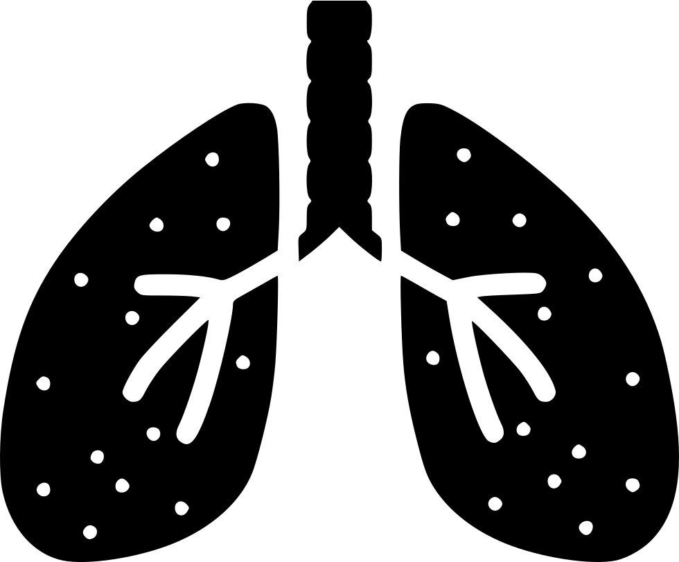 Lungs Comments - Respiratory System Icon (980x811), Png Download