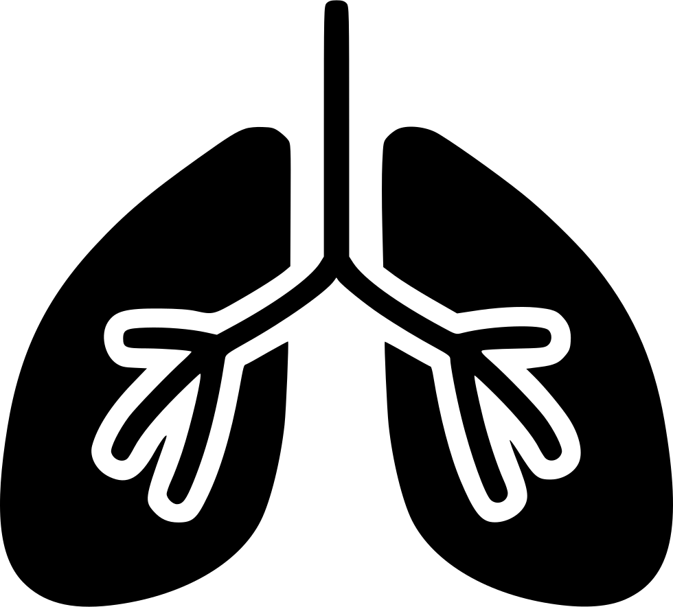 Lungs Comments - Lungs Vector (980x884), Png Download