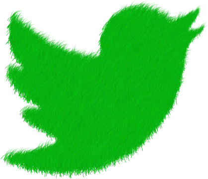 Social,social Network,twitter, - Twitter Logo Verde Png (500x500), Png Download