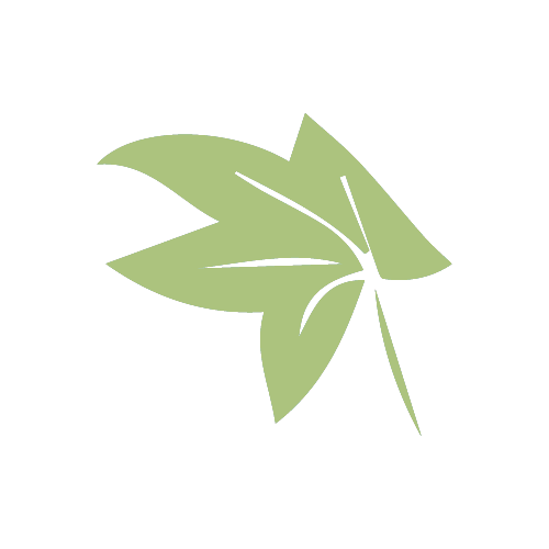 Leaf Icon - Portable Network Graphics (500x500), Png Download