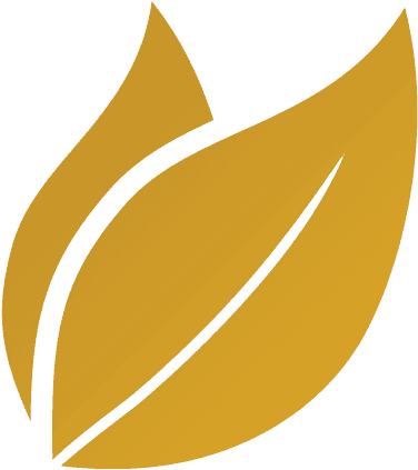 Gold Leaf - Wood (400x451), Png Download