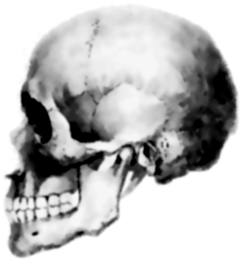 Skull Icon - Hardcore Punk (501x527), Png Download